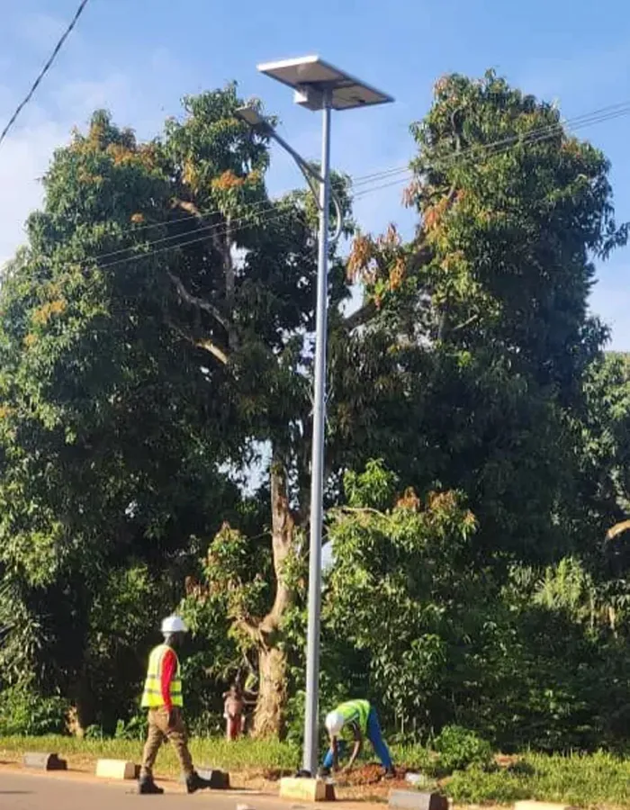 Abuja Airport Smart Solar Street Light Project Description