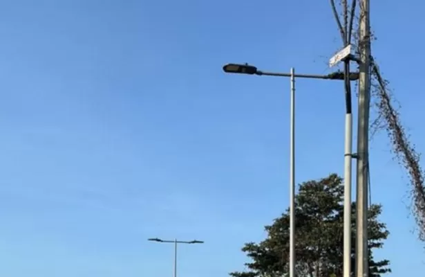 Long-Term Brand Partnership Case | Strategic ODM / OEM Cooperation in Smart Photovoltaic Lighting