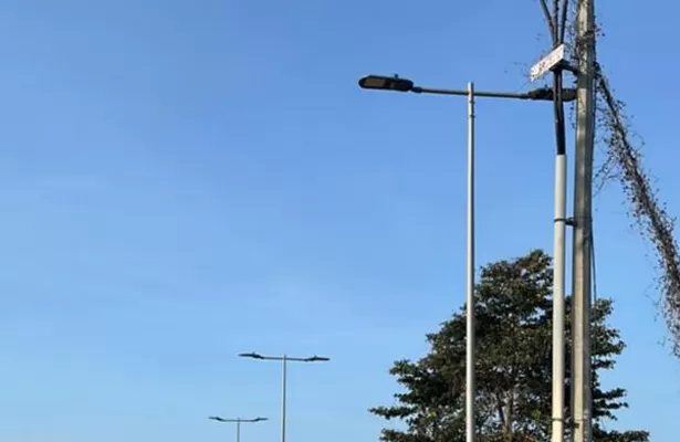 Long-Term Brand Partnership Case | Strategic ODM / OEM Cooperation in Smart Photovoltaic Lighting